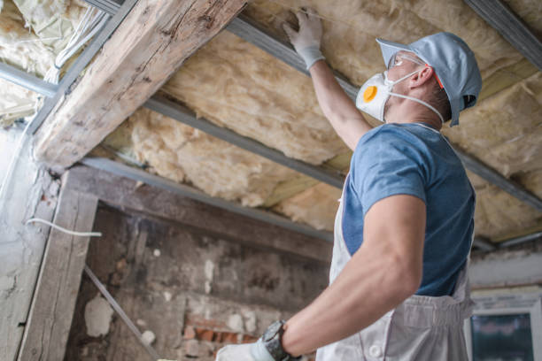 Best Specialized Insulation Services in Myersville, MD